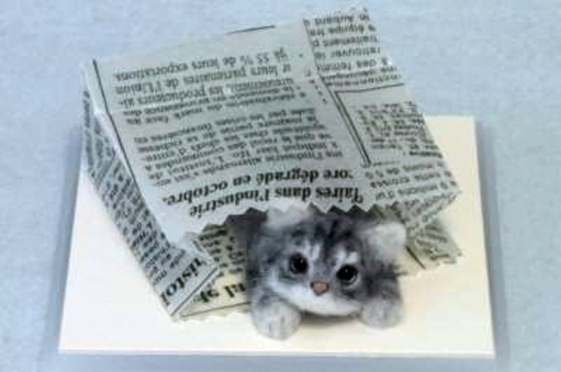 Paper Bag(cat)